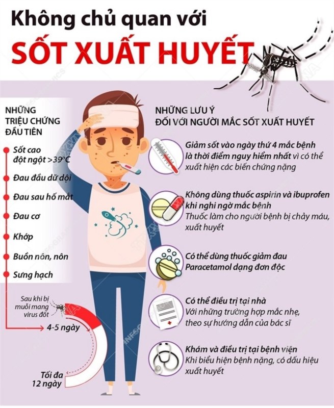 Phòng ngừa và điều trị sốt xuất huyết